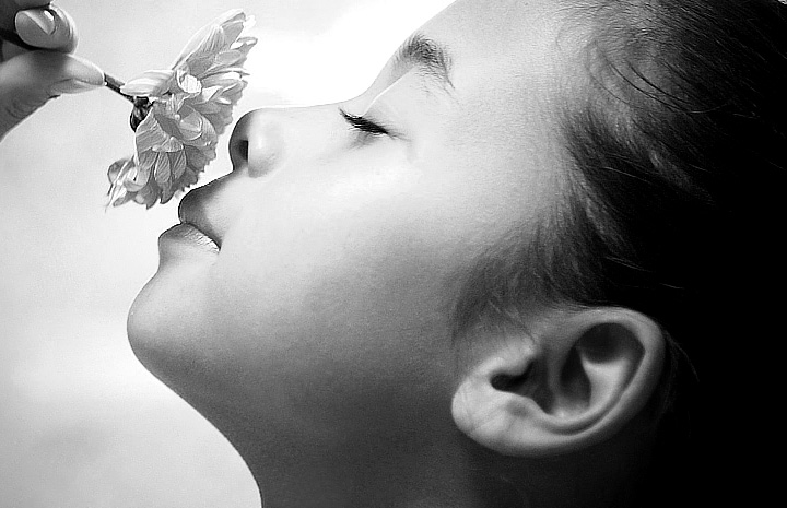 数据加密安全的免费网络轰炸机app